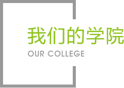 BD體育