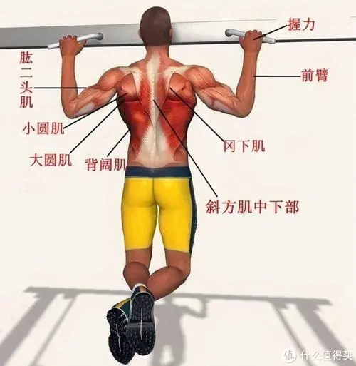 3d自虐游戲推薦手機(jī)版